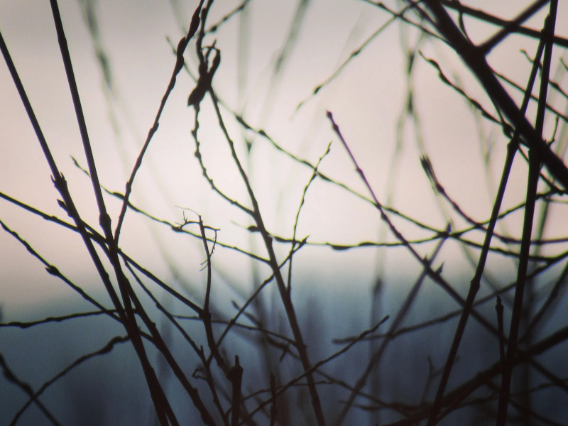 Ängste während der Coronakrise.