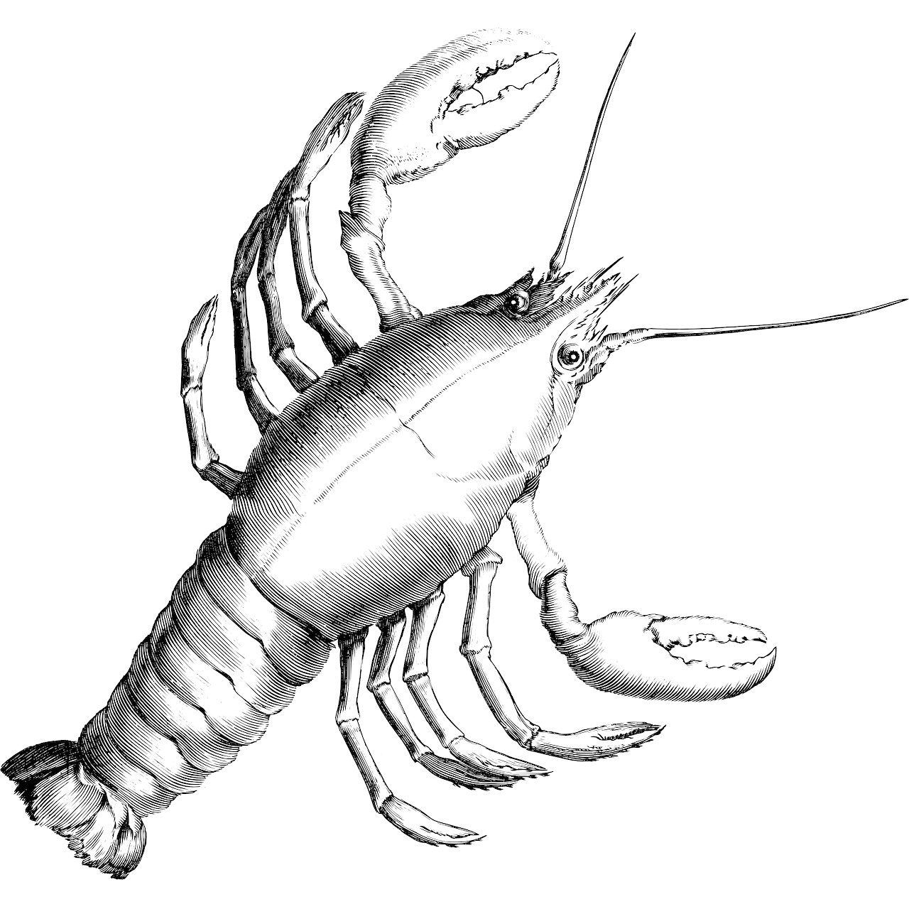 Seltene Krebserkrankungen